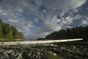 Images Dated 13th September 2006: Keith Island, Broken Island Group, Pacific Rim National Park Preserve, British Columbia