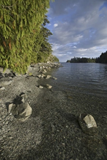 Images Dated 13th September 2006: Keith Island, Broken Island Group, Pacific Rim National Park Preserve, British Columbia