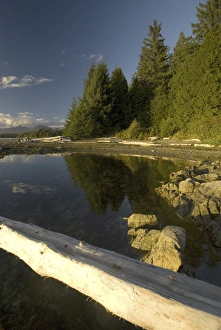 Images Dated 13th September 2006: Keith Island, Broken Island Group, Pacific Rim National Park Preserve, British Columbia