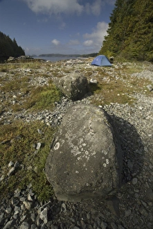 Images Dated 14th September 2006: Keith Island Campsite, Broken Island Group, Pacific Rim National Park Preserve, British Columbia