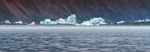 Janet Muir Prints: Kenai Peninsula, icebergs dotting the landscape