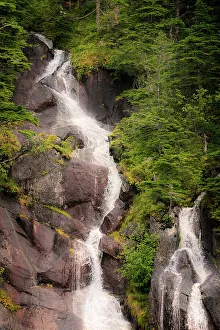 Janet Muir Prints: Kenai Peninsula. Two waterfalls surrounded by pine trees