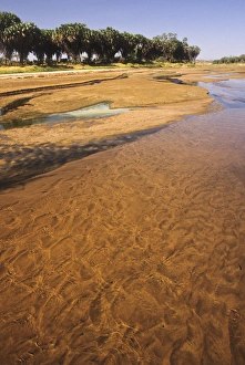 Images Dated 20th July 2011: Kenya: Buffalo Springs National Reserve