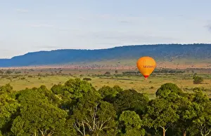 Images Dated 2029 June: Kenya Masai Mara Africa hot air ballooning over the Masai Mara National Park