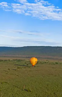 Images Dated 2029 June: Kenya Masai Mara Africa hot air ballooning over the Masai Mara National Park