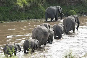 Images Dated 30th September 2009: Kenya, No Water