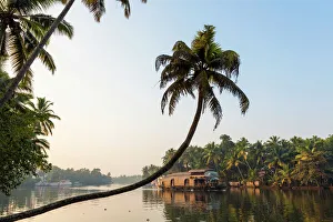 Houseboat Prints: Kerala backwaters nr Alleppey (Alappuzha), Kerala, India