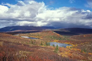 kettle ponds and fall colors in Denali National Park, interior of Alaska