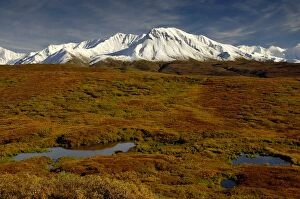 Images Dated 3rd September 2005: Kettle ponds and tundra in fall foliage front snow-capped peaks in the Alaska Range