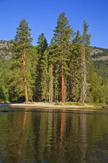 The Kettle River at Kettle River Provincial Park near Rock Creek, British Columbia