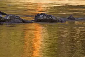 Provincial Park Prints: The Kettle River reflects at Kettle River Provincial Park near Rock Creek