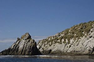 Kidney Island, East Falkland, Falkland Islands. Kidney Island is a small tussac-covered