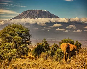 Kilimanjaro and elephant, Amboseli National Park