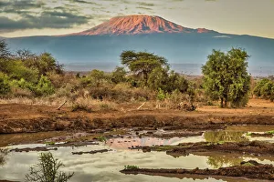 Animal Preserve Prints: Kilimanjaro in morning, Amboseli National Park, Africa