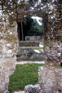 Images Dated 5th February 2010: Kingsley Plantation, Fort George Island