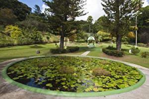 Images Dated 23rd January 2010: Kingstown Botanical gardens, St. Vincent & The Grenadines