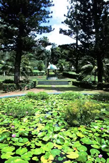Kingstowns lush green Botanical Gardens in St. Vincent and the Grenadines