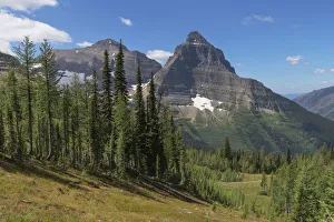 Subalpine Prints: Kintla and Kinnerly Peak, Glacier National Park, Montana