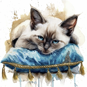 Ai Generated Prints: Kitten with blue eyes on cushion. (AI Generated)
