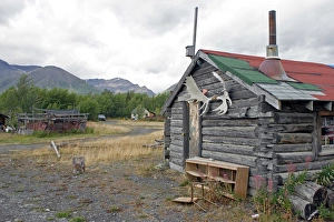Images Dated 21st August 2005: Klukshu Village in Yukon Territory, Canada. A traditional Native village on the Klukshu