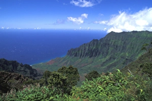 Images Dated 16th December 2004: Kokee State Park, Honopu Valley, Kauai, Hawaii