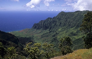 Images Dated 27th January 2010: Kokee State Park in Honopu Valley, Kauai, Hawaii