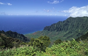Images Dated 27th January 2010: Kokee State Park in Honopu Valley, Kauai, Hawaii