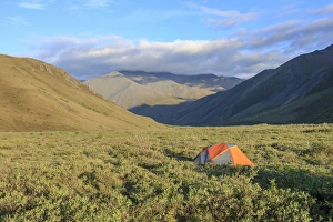 Ungulate Prints: Along Kongakut River. Arctic National Wildlife Refuge. Alaska