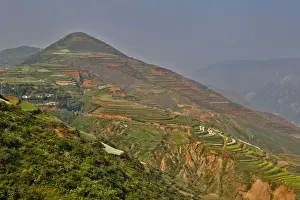 Kunming Prints: Kunming Dongchuan Red Land, China with crops in the red soil canola, corn