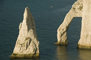 Images Dated 23rd August 2008: L Aiguille (Needle) and Porte d Aval arch, Etretat, Normandy, FRANCE