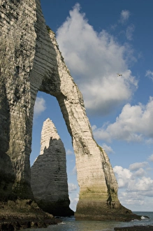 Images Dated 23rd August 2008: L Aiguille (Needle) through Porte d Aval arch, Etretat, Normandy, FRANCE