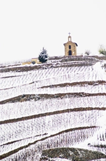Images Dated 17th April 2005: The La Chapelle chapel on top of the hill and hermitage vineyard. The Hermitage vineyards