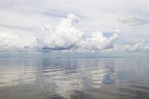 Images Dated 15th July 2012: LA, Lafitte, Airboat swamp tour