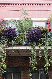 Images Dated 14th July 2012: LA, New Orleans, French Quarter, architecture