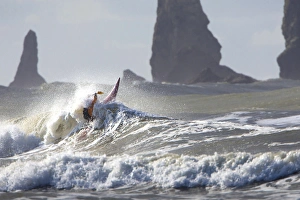 Choice Prints: La Push Pummel and sea stacks