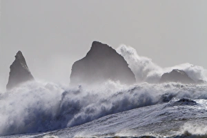 Northwest Prints: La Push Pummel and sea stacks. (MR)