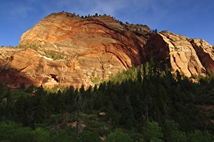 Mark Williford Prints: La Verkin - Kolab Canyon, Zion National Park, UT
