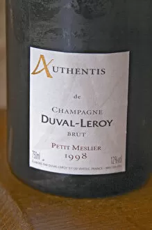 A detail of the label of a bottle from the range Authentis: A single grape variety