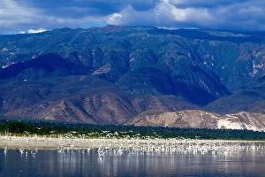 Barahona Prints: Lago Enriquillo, Barahona, Dominican Republic, Caribbean