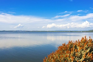 The lagoon of Orbetello, Orbetello, Grosseto province, Tuscany, Italy