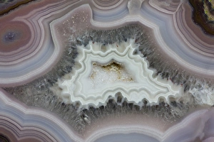 Natural Pattern Prints: Laguna Agate, Mexico