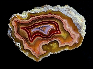 Images Dated 4th September 2024: Laguna agate from Mexico