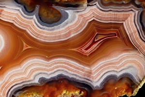 Images Dated 4th September 2024: Laguna agate from Mexico