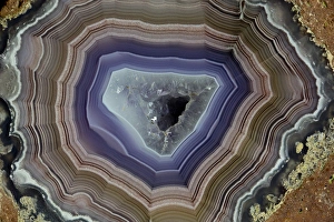 Images Dated 23rd January 2013: Laguna Banded Agate, Quartzsite, AZ