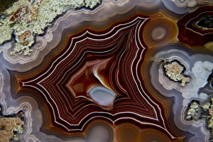 Images Dated 23rd January 2013: Laguna Banded Agate, Quartzsite, AZ