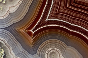 Images Dated 23rd January 2013: Laguna Banded Agate, Quartzsite, AZ