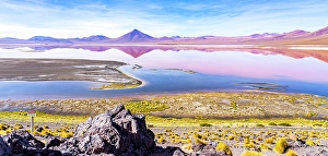 Bolivia Prints: Laguna Colorada, Bolivia. Panorama view of lake in Altiplano