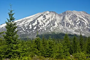 Lahar Area, south side of Mount St. Helens National Volcanic Monument, Washington State, USA