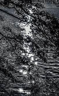 Images Dated 4th January 2024: Lake Ashinoko water reflection