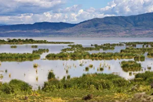 Snnp Prints: Lake Chamo, Ethiopia